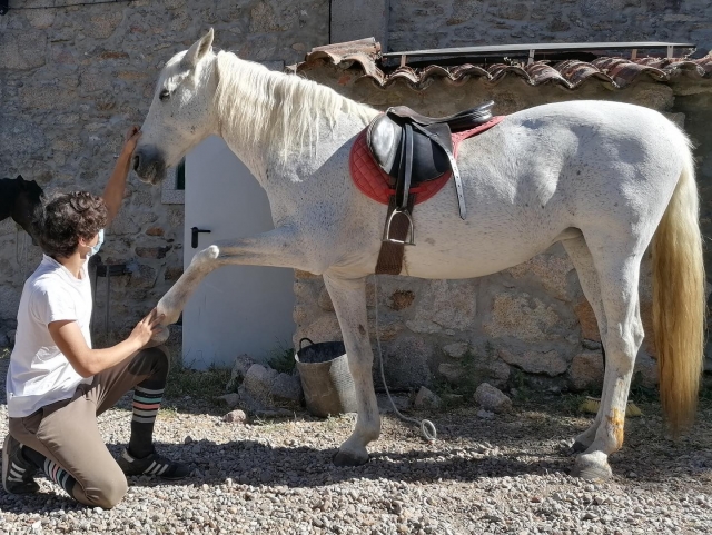 Cuidar a caballo en Marvao