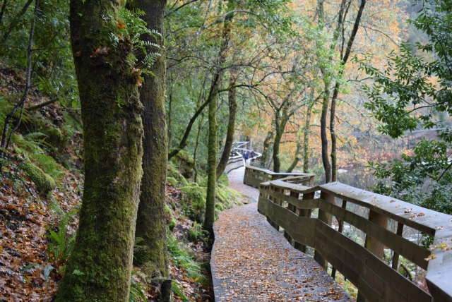  Paseo de un día por las pasarelas de el Paiva 