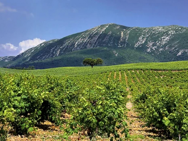 Serra de Arrabida