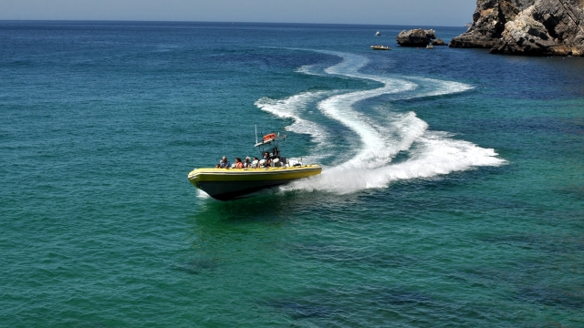 Paseo en lancha por Arrábida