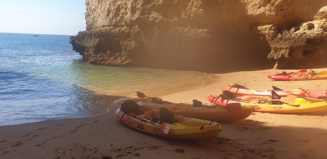 kayaks en la orilla
