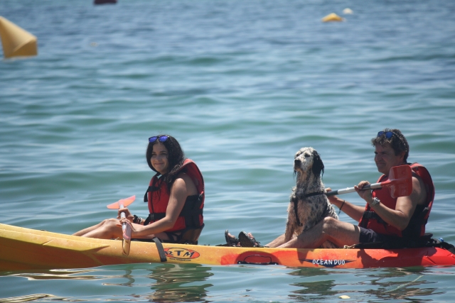kayak con el perro