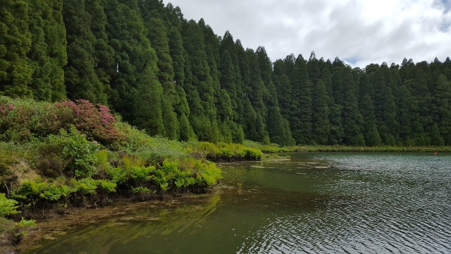 San Miguel en el Archipiélago de las Azores