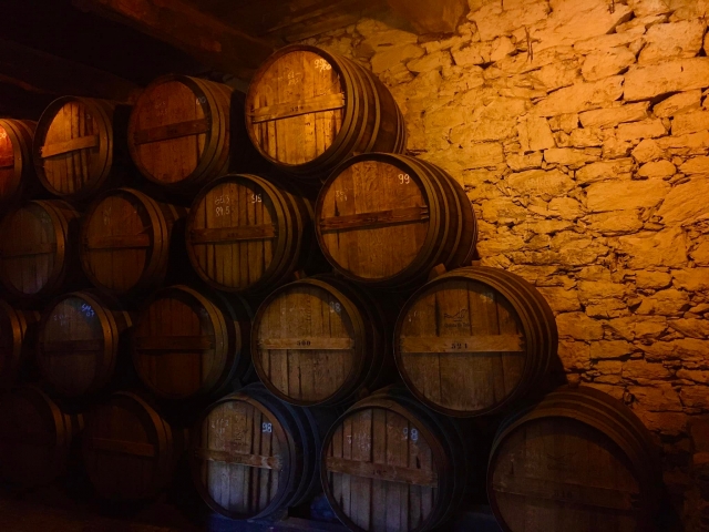 bodegas