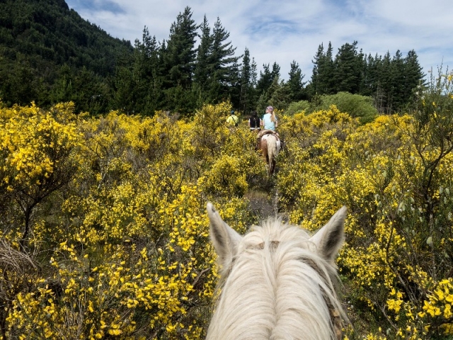 Cabalgamarra y almuerzo, Sierra de Montemuro 8h