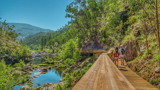 pasarelas sobre el rio