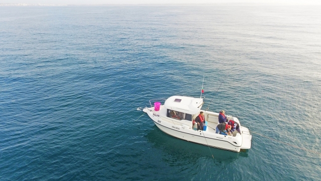 pesca de fondo en Algarve