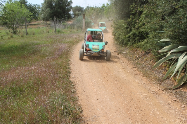 Conociendo Paderne en buggy