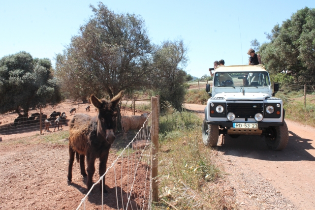Excursión en todoterreno