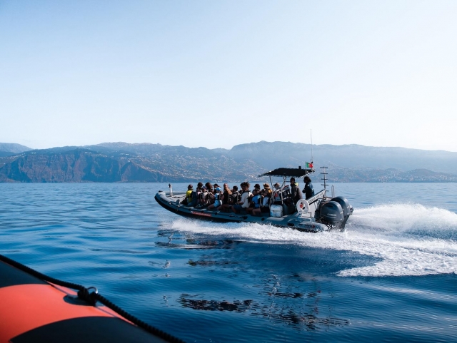 Whale watching