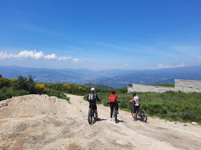 Mirando el paisaje
