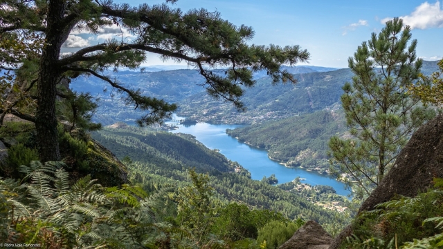 Paisaje portugués