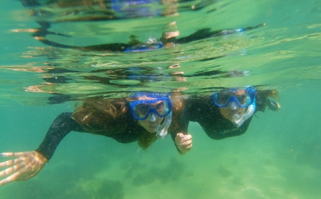Buceo y snorkel en Portugal