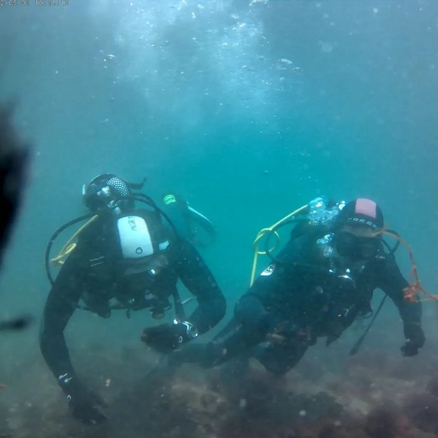 Bautismo de buceo en Parque Natural Luiz Saldanha