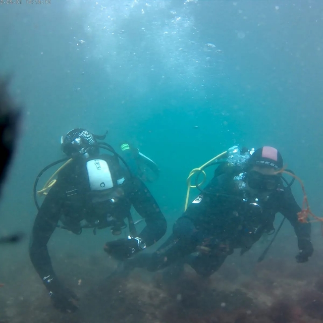 Buceo en Arrábida