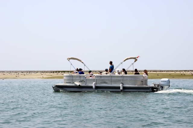 Paseo en catamarán