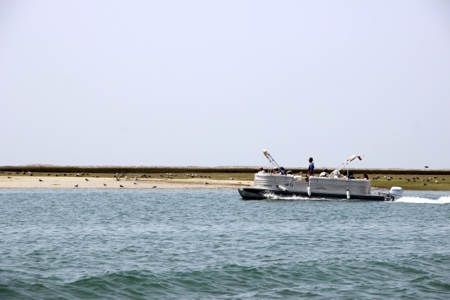 Disfrutando del paseo en barco