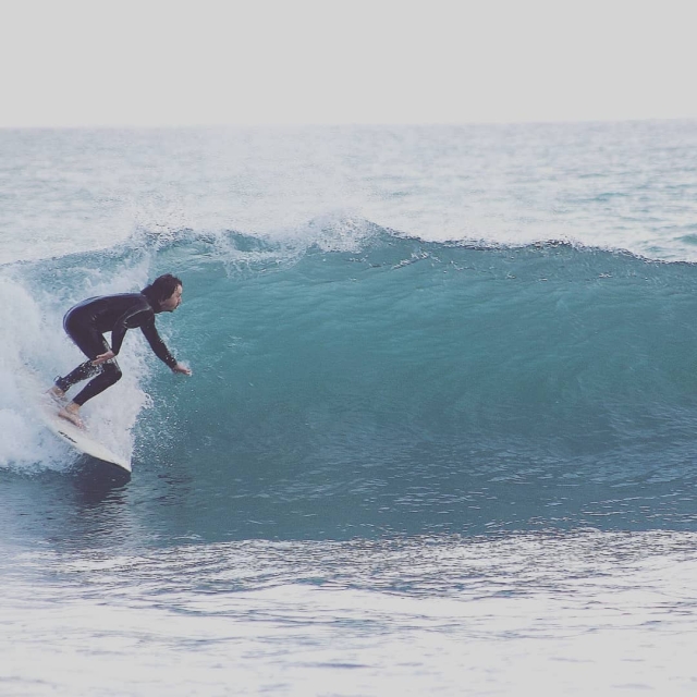Surfeando las olas