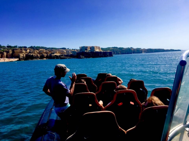 En busca de los delfines