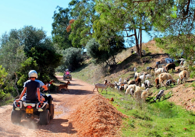 Ruta por el Algarve