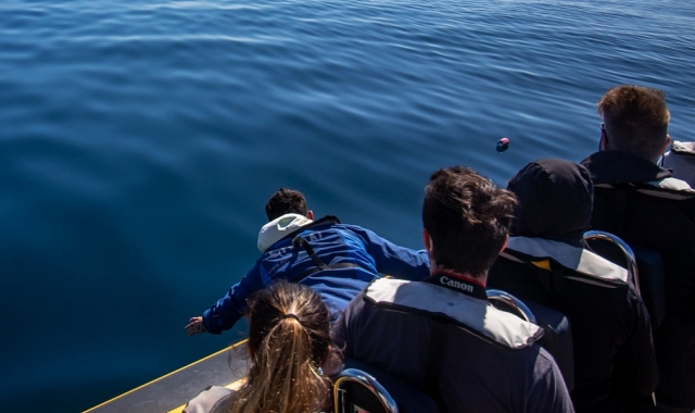 Subidos en el barco