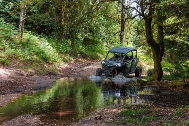  Aventura en buggy para toda la familia 