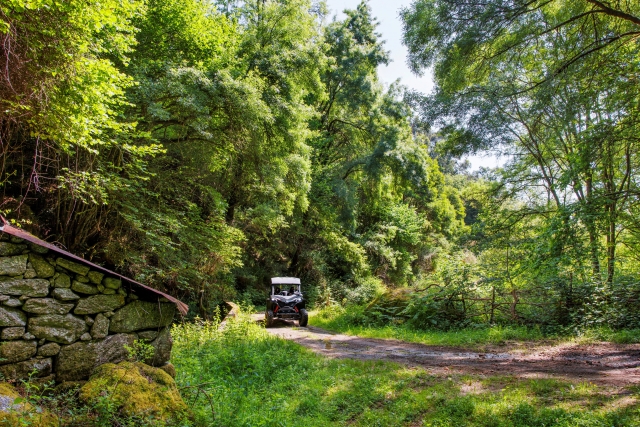  Descubre los secretos de la cerro en buggy 