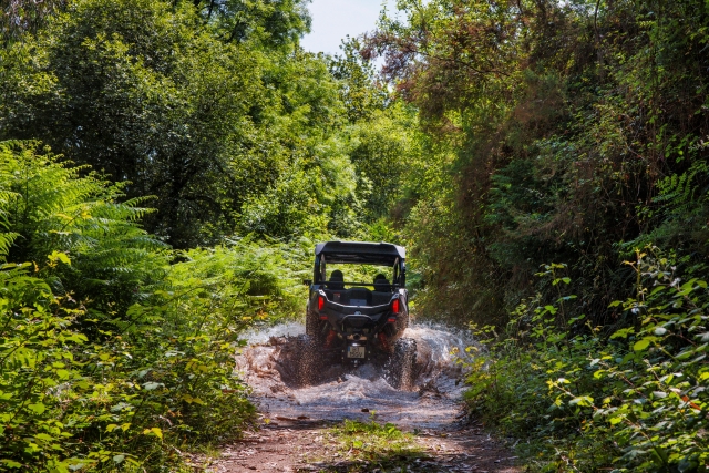  Sube en nuestro buggy 