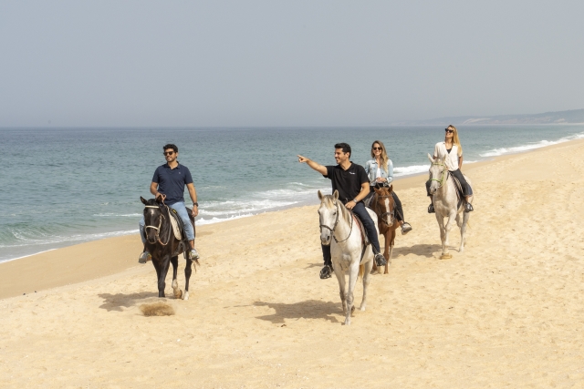Una ruta por la playa a caballo muy especial