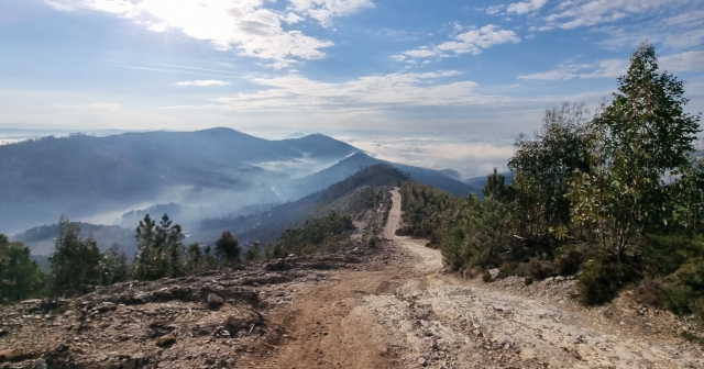 Surco de los neumáticos en el sendero a seguir