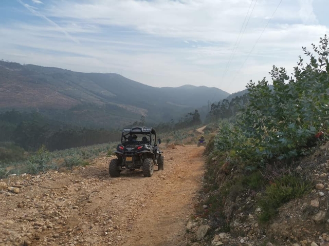 Un buggie sigue la estela del camino
