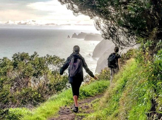 Camicrema por Madeira