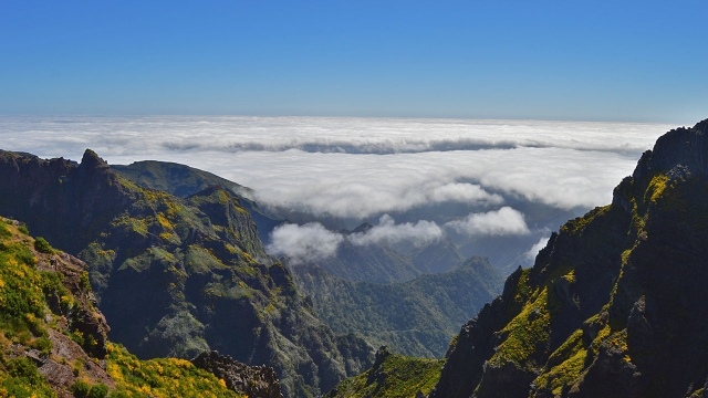 Vistas de los picos más altos 
