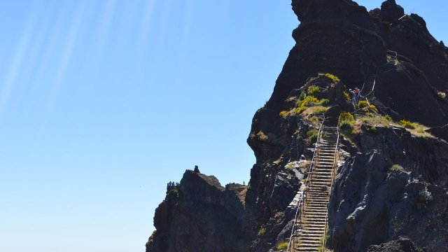 Picos de Madeira
