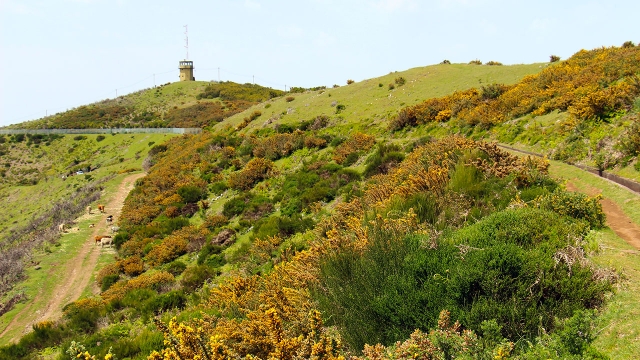 Naturaleza de la zona