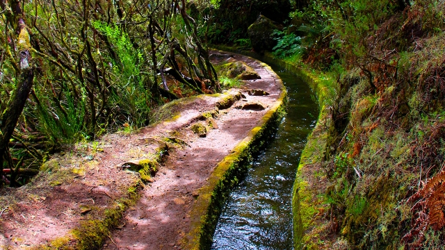 Cauces de agua en Madeira
