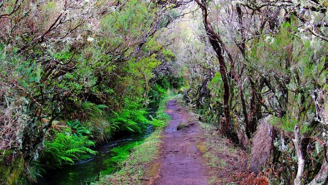 Senderos entre la naturaleza