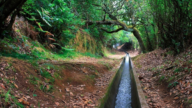 Riachuelos de la ruta senderista