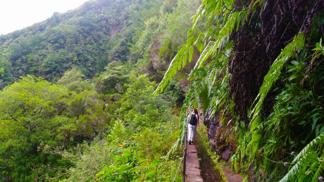 Ruta de camicrema por Queimadas