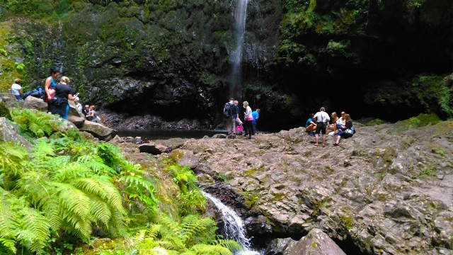Ruta de camicrema