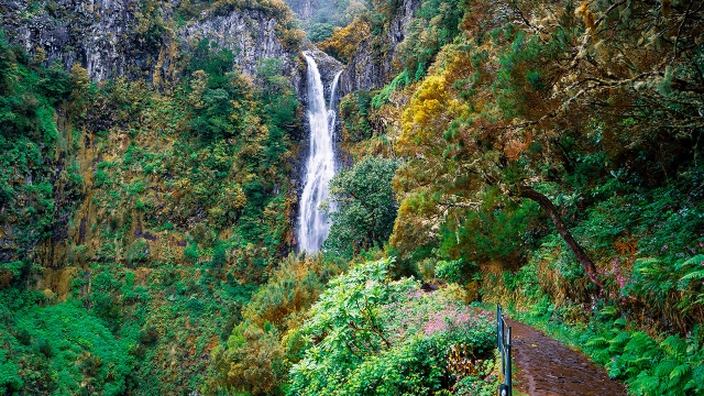 Cascada del Risco