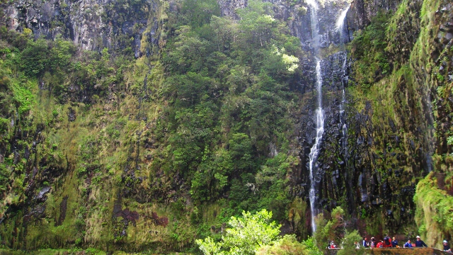 Naturaleza de Madeira