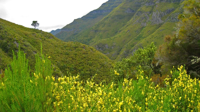 Paisajes del Valle de Rabaçal