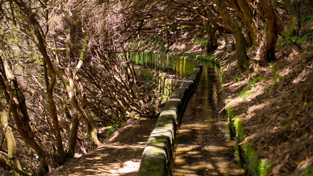 Senderos en Madeira