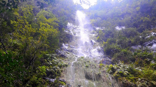 Cascadas de Madeira