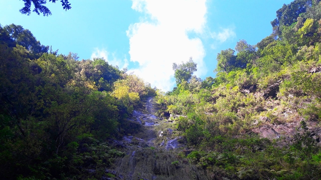 Paisajes naturales de Madeira