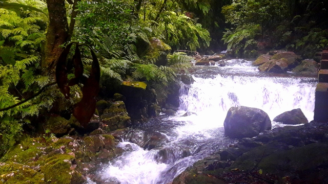Cascadas naturales