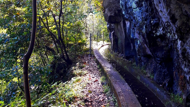 Levadas de Madeira