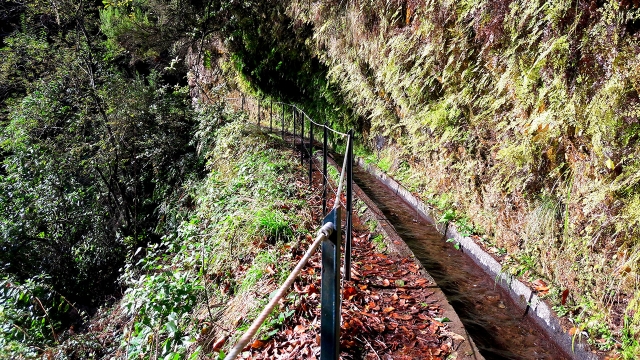 Levadas de Madeira
