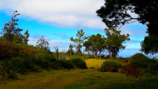 Paisajes de la isla